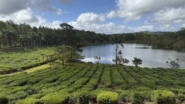 Photo 4 by Tomas S. about hiring a Suzuki Swift in Mauritius (14/12/24)