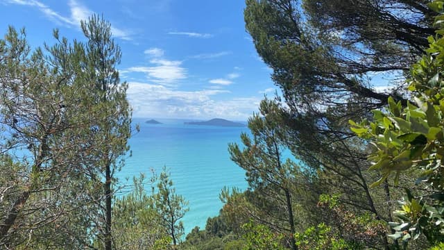 Foto 2 van Paul Z. (29-6-24)