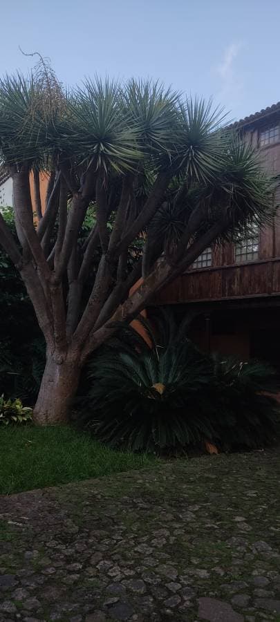 Foto 14 de Jose Manuel P. (20/11/25)