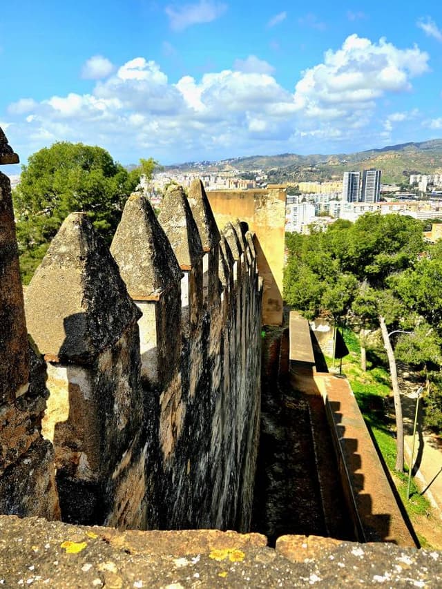 Photo 5 by Catherine S. (3/29/26)