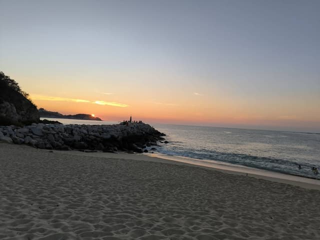 Photo 4 by Jaime M. (11/11/25)