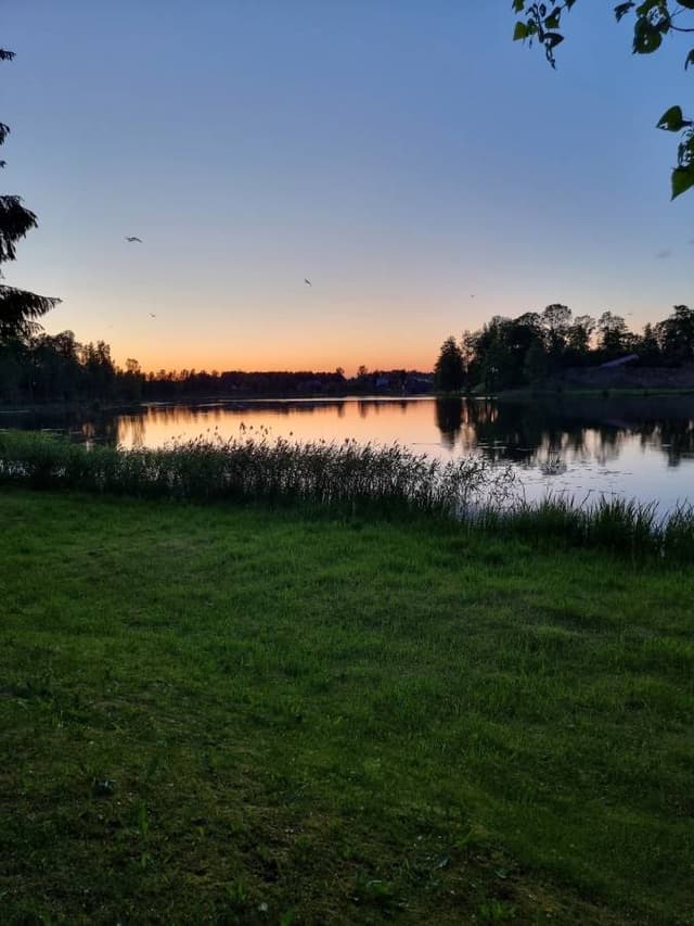 Photo 4 by Arturs S. about renting a Volkswagen Golf in Latvia (6/9/24)