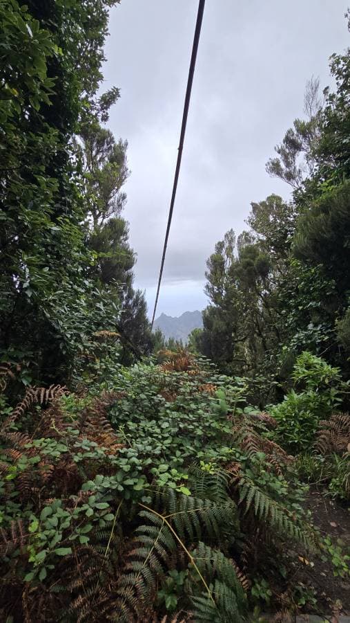 Fotografia 7 realizată de Cristina M. (06.12.25)