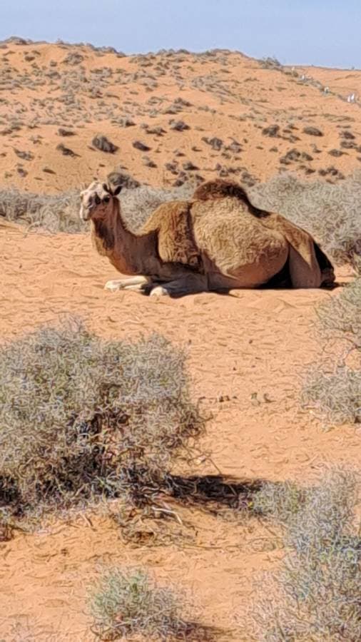 Photo 3 par Herve T. (04/02/24)