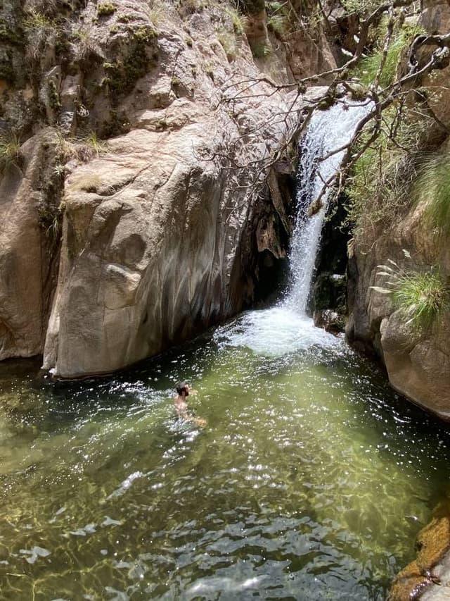 Photo 9 by Peter J. (11/5/25)