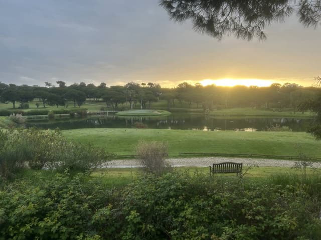 Photo 2 by ian S. (4/12/26)