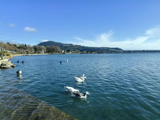 照片3,由YI S.提供(24/7/21)