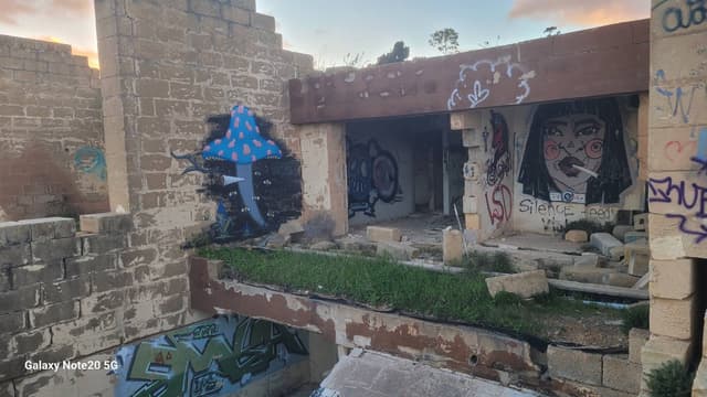 Foto 4 de Helder M. (07/02/26)