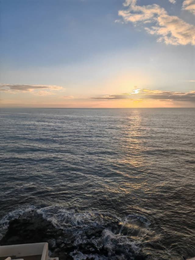 Photo 4 by Mohommed M. (10/31/25)