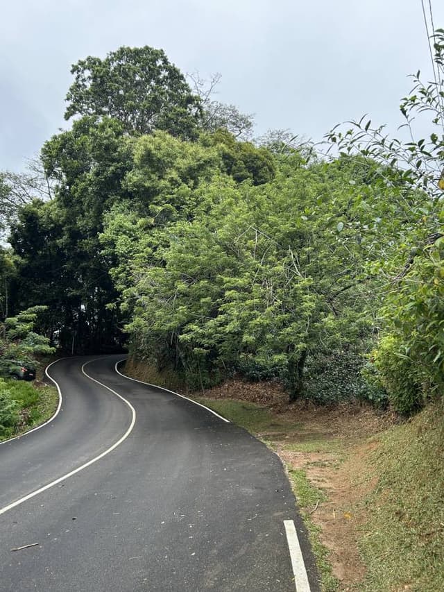 Henkilön Sirpa T. kuva 2 (28.12.25)