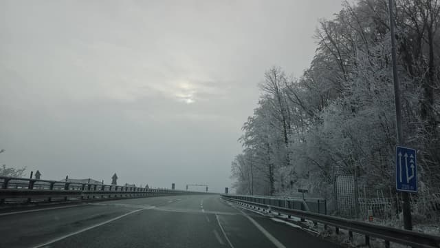 תמונה 7 מאת Ilya G. (5.1.25)