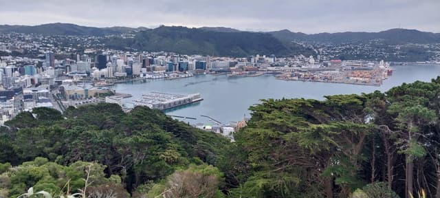 Photo 1 by Paul P. about renting a Toyota Corolla in New Zealand (9/16/25)