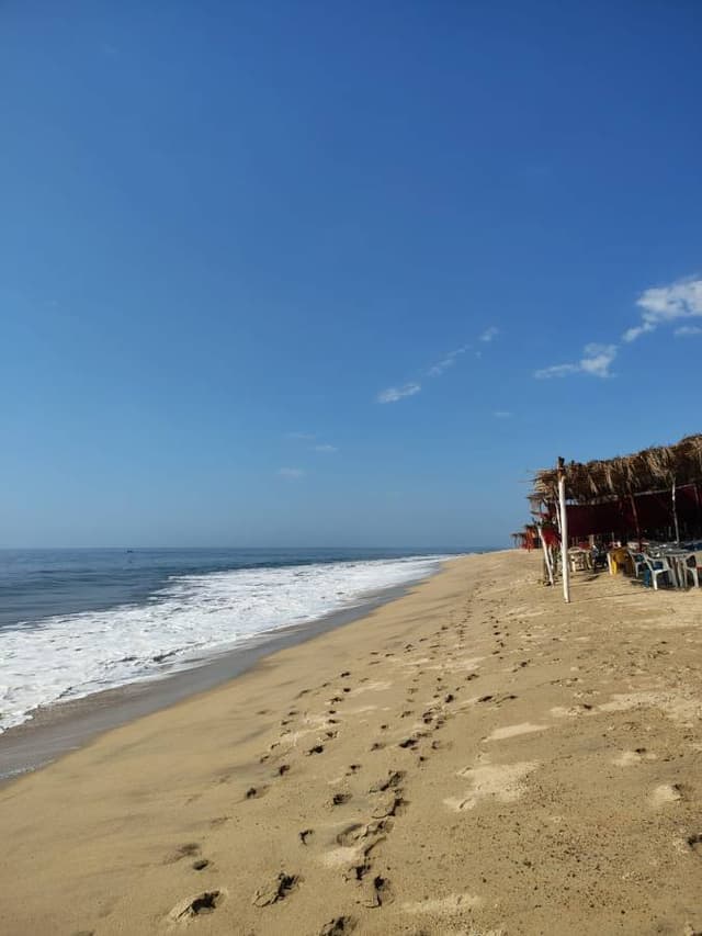 Foto 12 de Jose David R. (9/3/26)