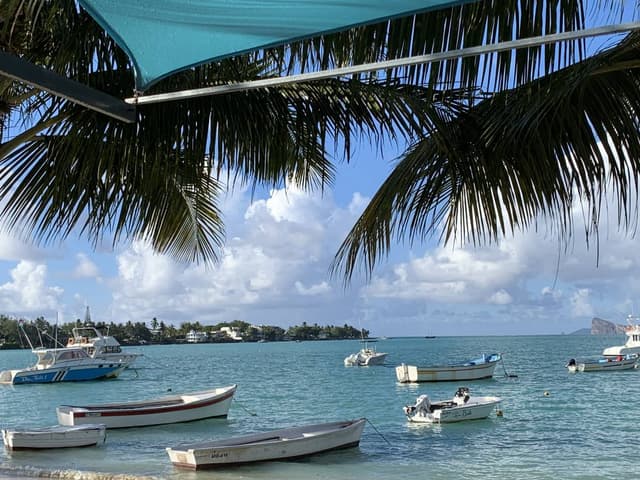 Photo 2 par Jeannine H. (11/04/26)