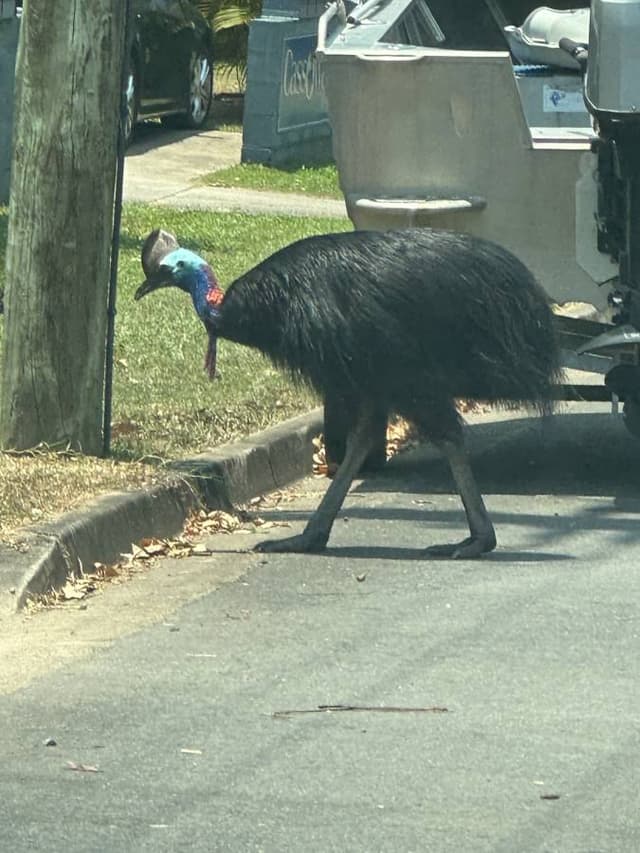 Photo 5 by Lilian M. about renting a Ford Everest in Cairns (11/5/23)