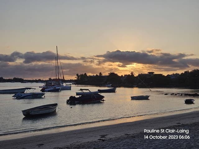 Photo 3 by Andrew S. (11/11/23)