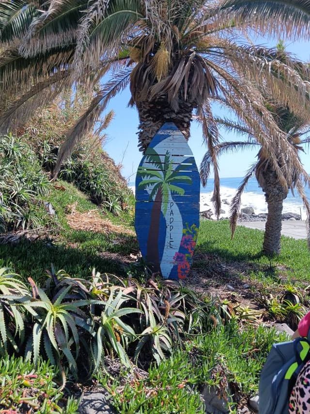 Photo 7 by Monica N. about renting a Citroen C3 in Madeira (2/24/25)