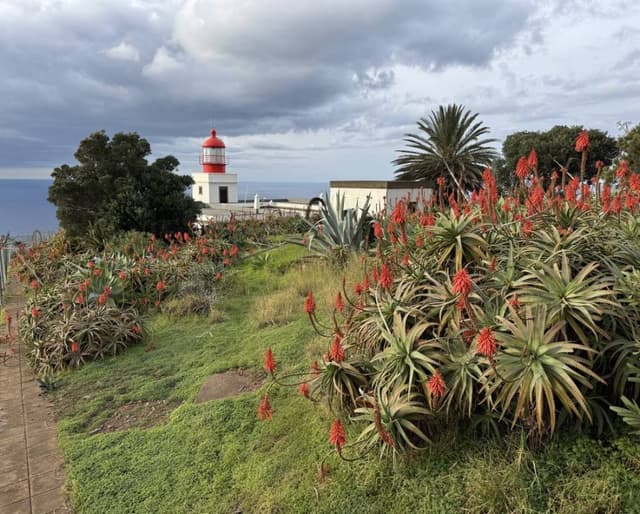 Zdjęcie 4 wykonane przez Pawel W. (20.01.25)