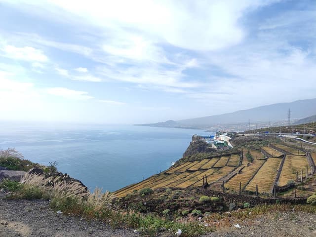 Foto 2 de Paula M. (25/2/26)