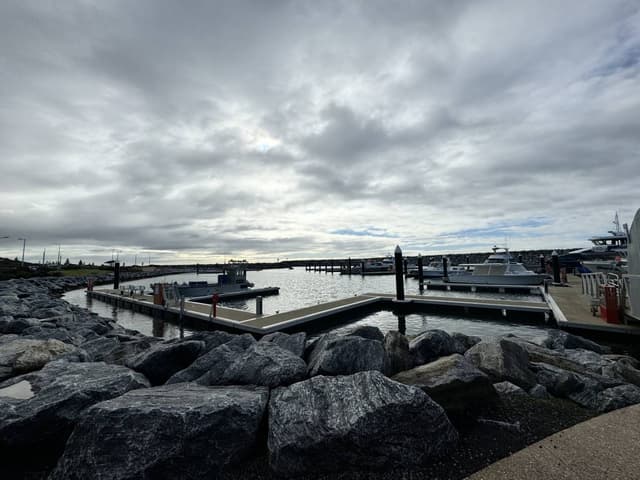 Photo 5 by King Yong N. about hiring a Toyota RAV4 at Perth Airport (29/07/24)