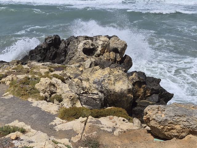 Photo 5 by richard D. (8/2/26)