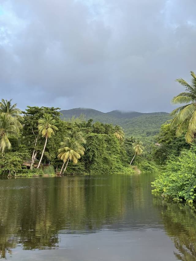 Photo 8 by Julie T. about renting a Dacia Duster in Guadeloupe (11/20/23)