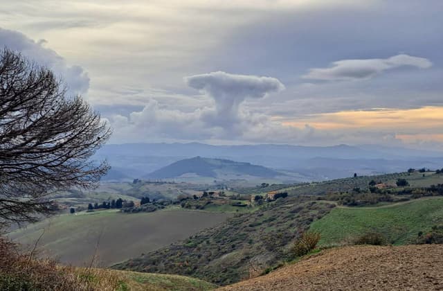 Photo 3 by Matthew D. (11/11/25)