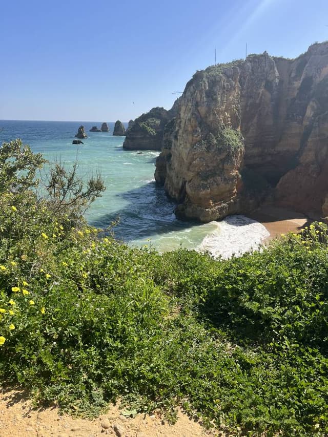 Photo 5 by Darrel T. (3/11/26)