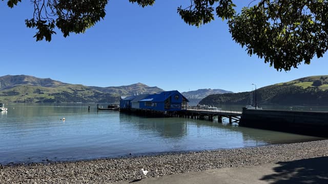 Photo 5 by Jennifer Y. about renting a Toyota Aqua at Christchurch Airport (4/13/25)