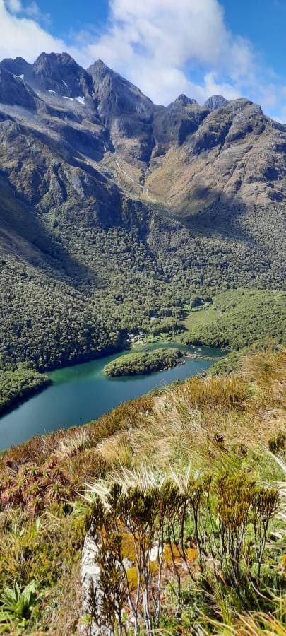 Photo 7 by Michael D. (2/5/26)