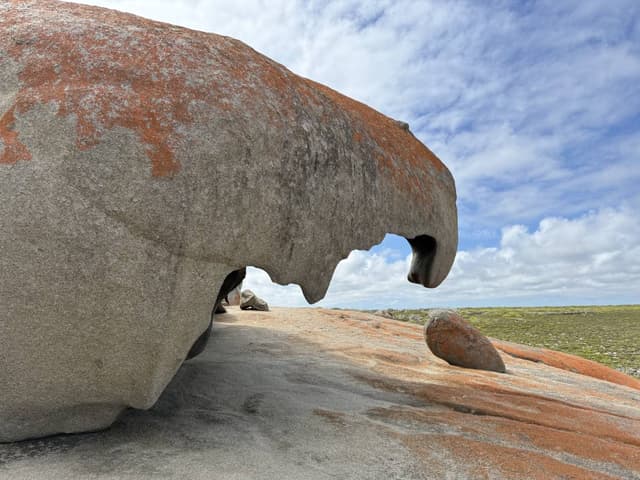 Photo 7 by Cheryl L. (1/10/26)