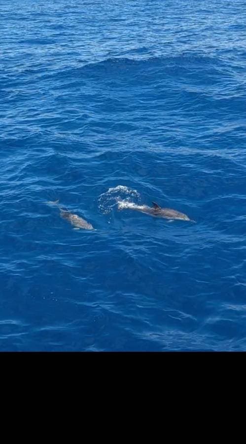 Zdjęcie 4 wykonane przez Marcin F. (24.03.24)