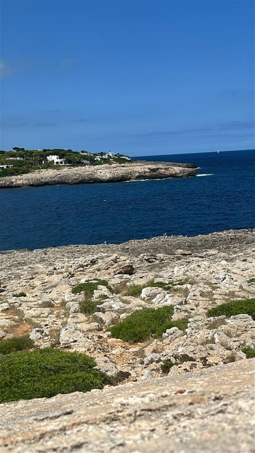 Photo 2 by mostafa O. about renting a Toyota Aygo in the Balearic Islands (7/16/25)
