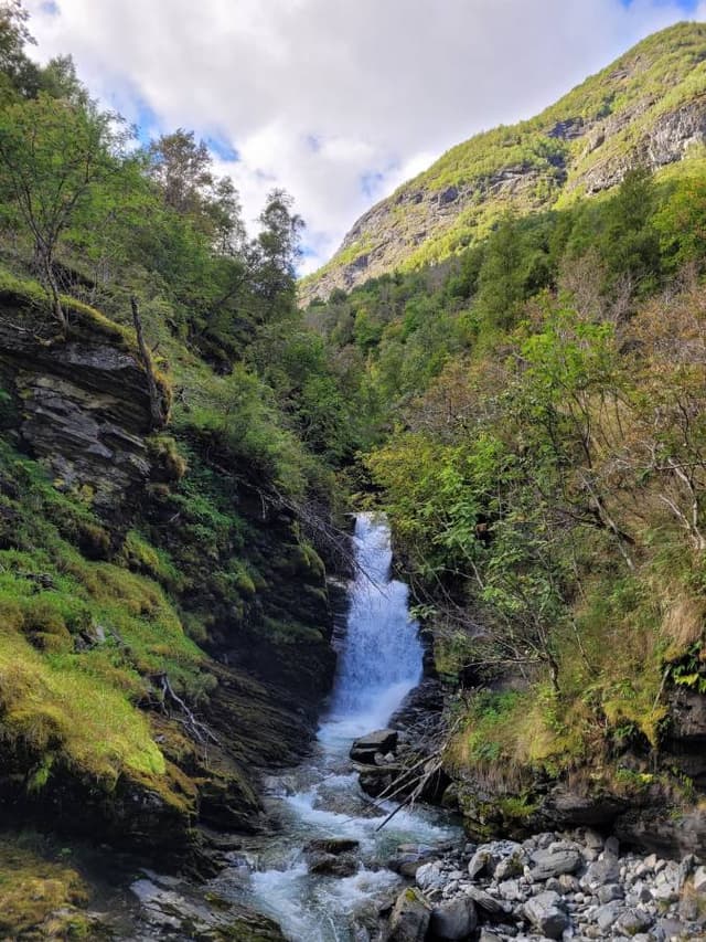 Photo 1 by Filip S. (9/6/23)