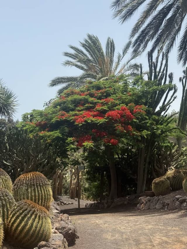 Photo 3 by Sergey K. about renting a Volkswagen T-Cross in the Canary Islands (6/20/25)