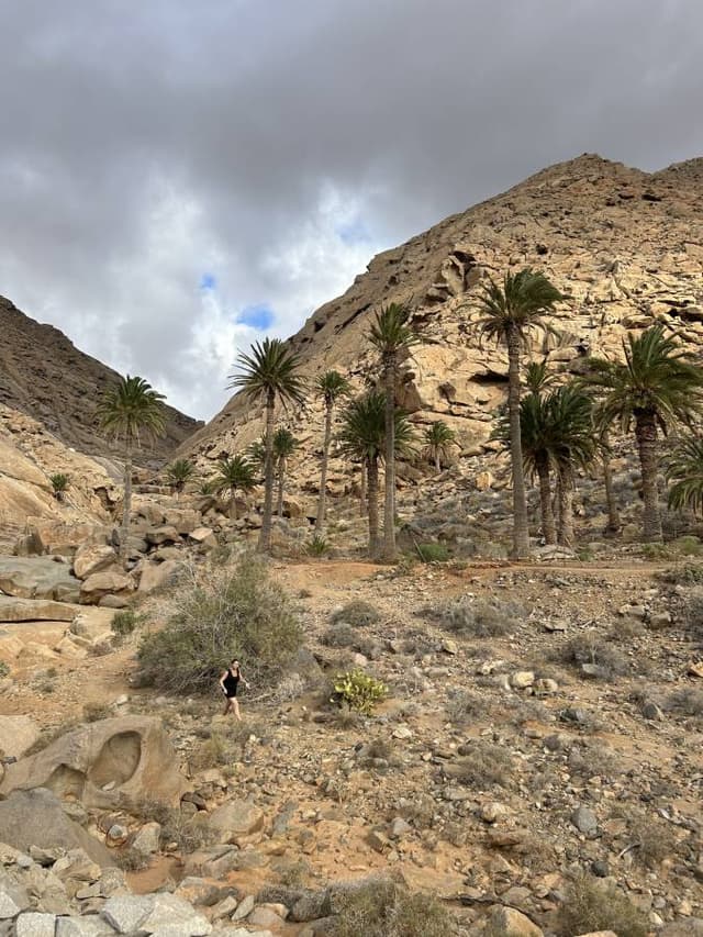 Billede 2 af Jesper S. (11/19/24)