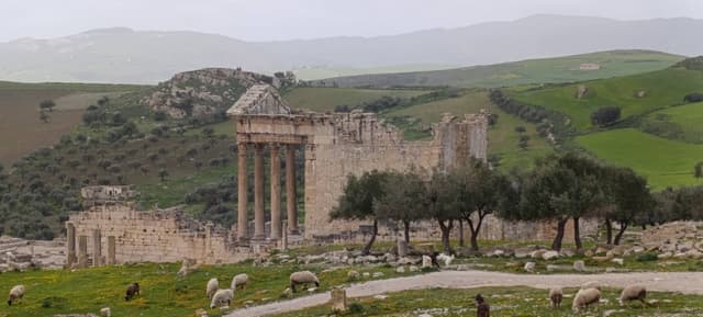 Photo 3 by Emmanuel B. (2/25/26)