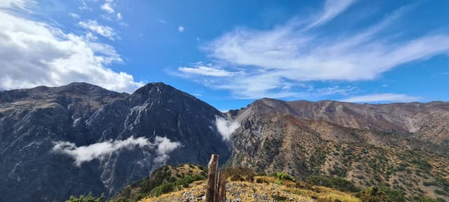 Henkilön Rami L. kuva 1 (13.10.23)