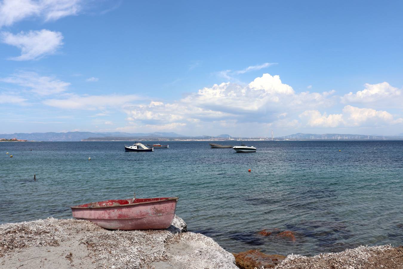 Foto 3 di Maria Cristina G. (04/06/26)