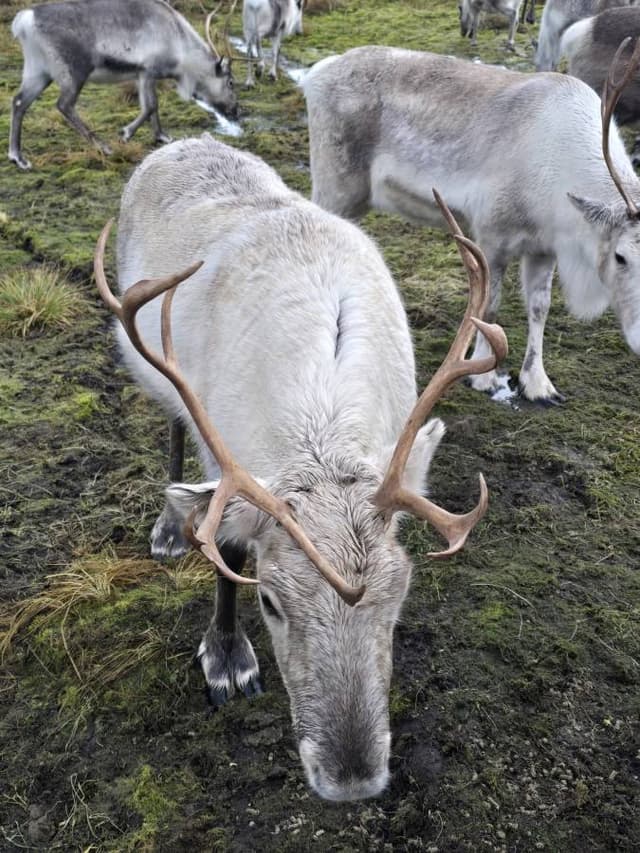 Photo 4 by Lubomir T. (11/8/25)