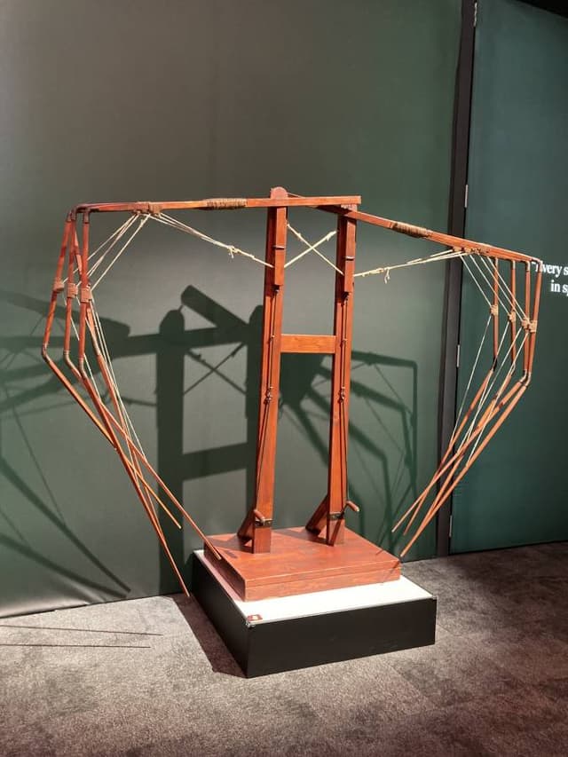 Photo 5 by David C. (12/7/24)