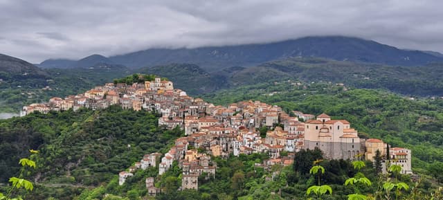 Photo 1 by Daniel C. about hiring a Fiat Panda in Naples (14.05.24)