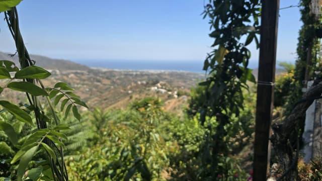 Photo 11 by Stuart D. about hiring a Nissan Juke at Malaga Airport (24/08/24)