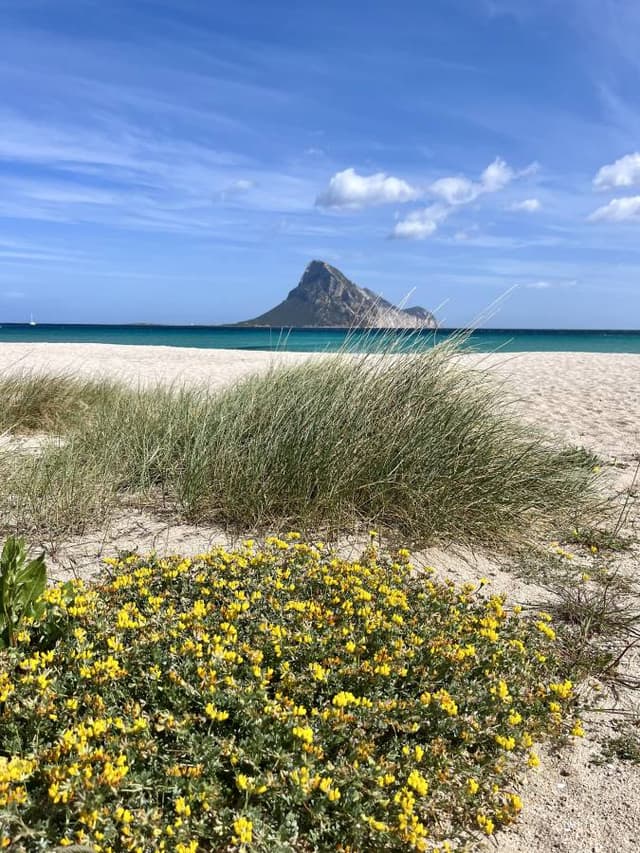 Zdjęcie 4 wykonane przez Przemyslaw K. (4.04.24)