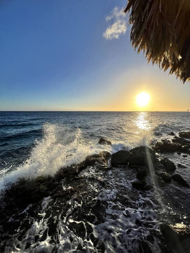 Foto 7 de Juan Camilo R. (27/1/24)