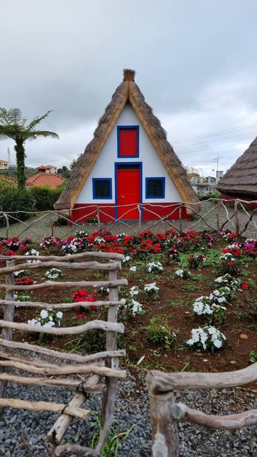 Foto 2 von Jairo A. über die Anmietung eines Fiat Panda auf Madeira (16.11.23)