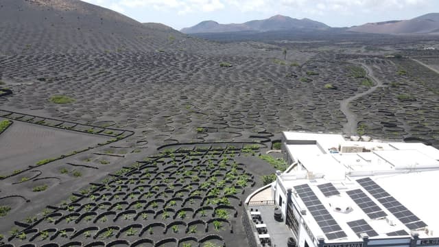 Foto 1 di Matteo C. sul noleggio di una Fiat 500 all’aeroporto di Lanzarote (27/06/25)