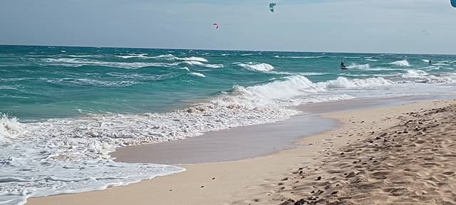 Foto 5 von Rosemarie H. (14.12.25)