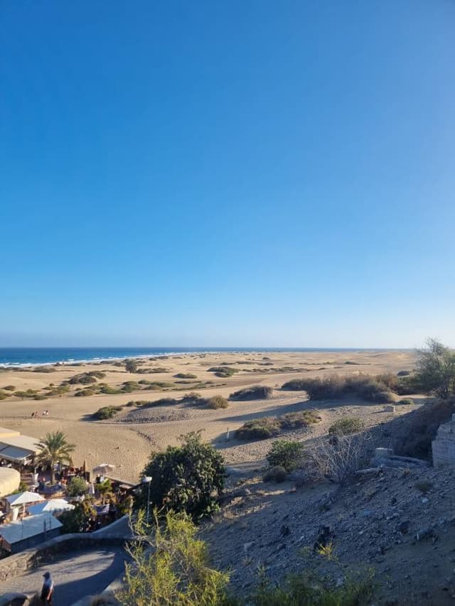 Photo 3 by Boyko K. (2/28/26)