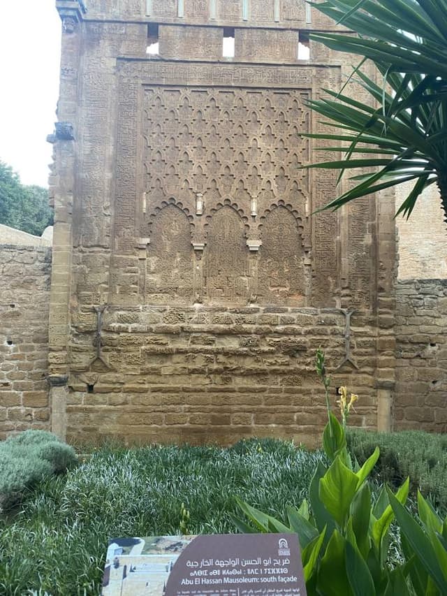 Photo par MOHAMED B. (14/11/25)